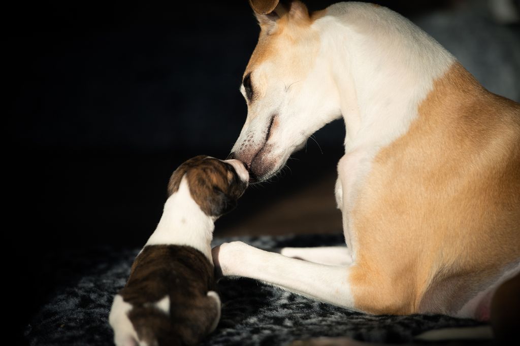 Les bébés ont déjà 2 semaines