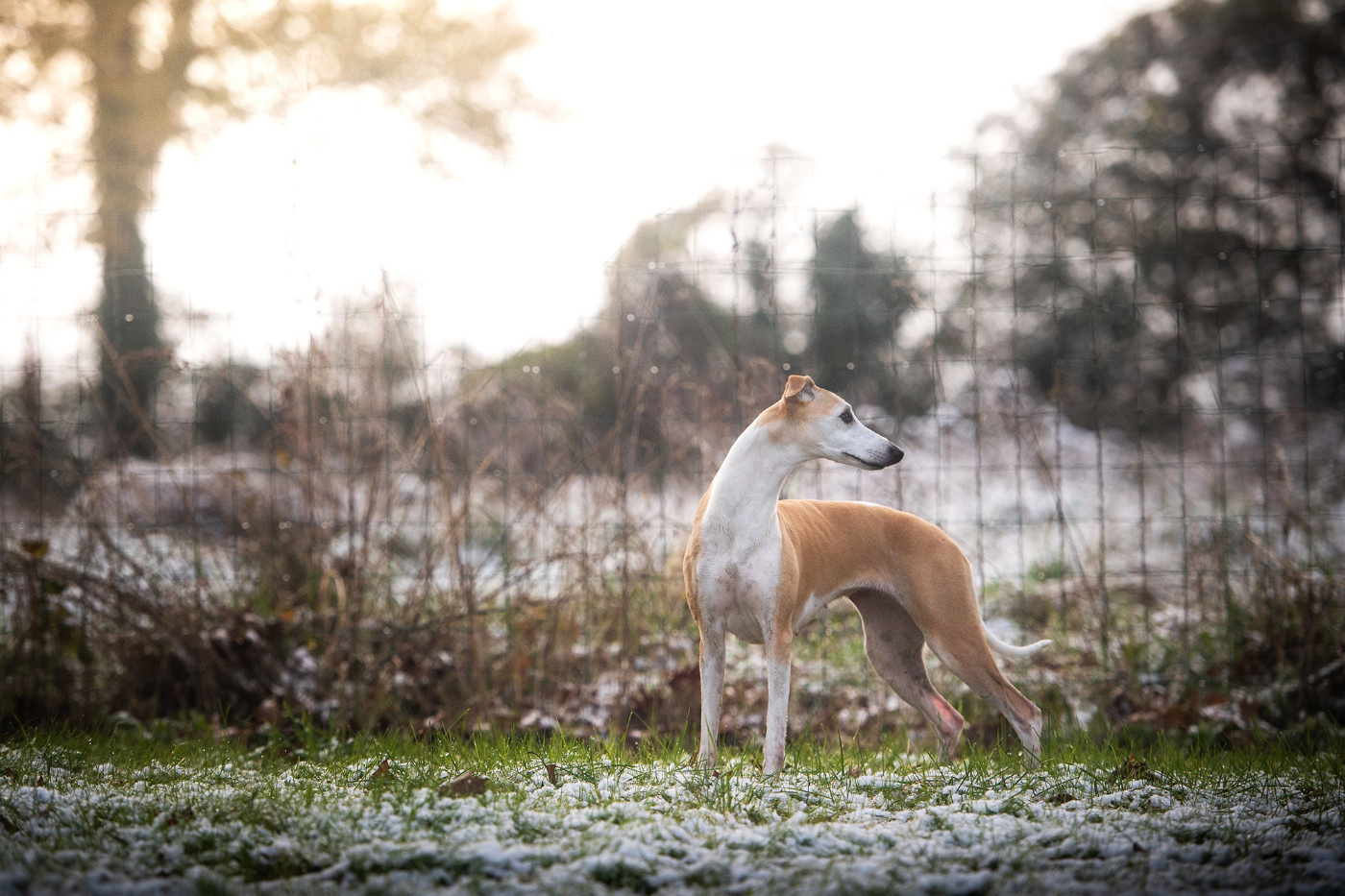 Du Domaine De La Poiriere